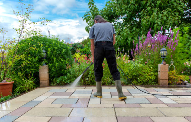Best Patio and Deck Pressure Washing  in Phillips, WI